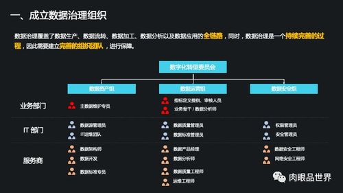 集團數據管控與數據治理解決方案 打造高效、可信的數據處理服務