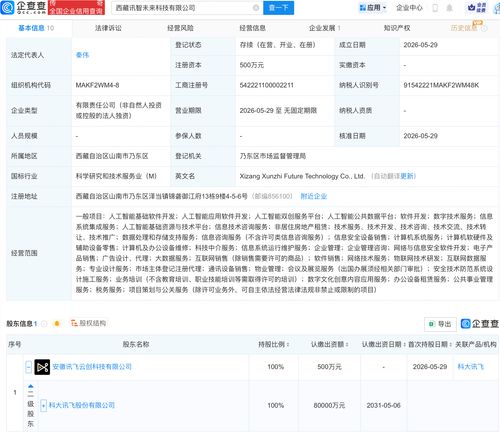 科大訊飛在西藏布局 新公司含多項AI業務，人工智能應用迎來區域新范例
